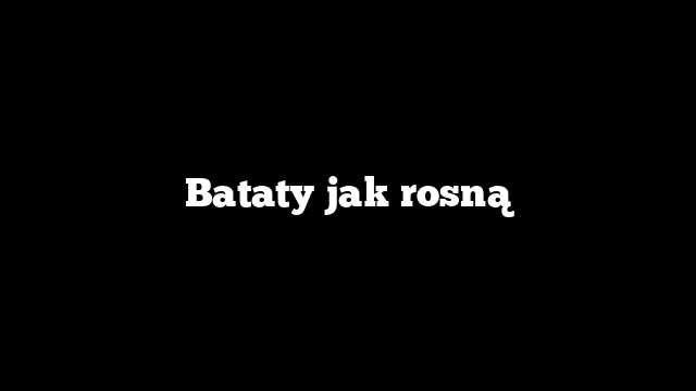 Bataty jak rosną