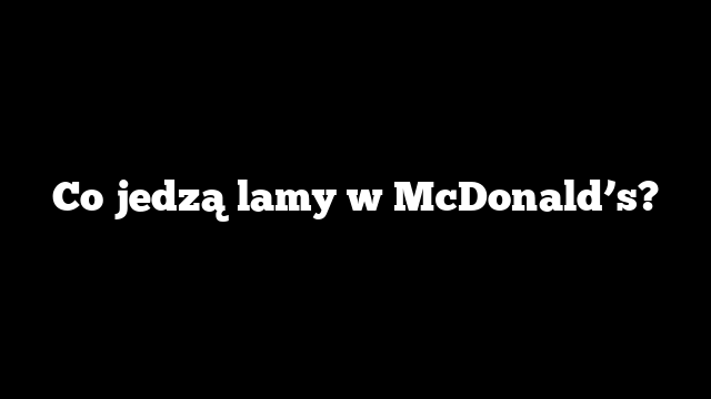Co jedzą lamy w McDonald’s?
