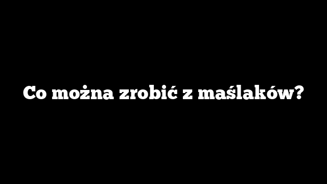 Co można zrobić z maślaków?