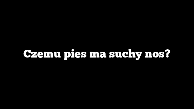 Czemu pies ma suchy nos?