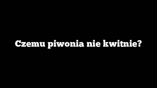 Czemu piwonia nie kwitnie?