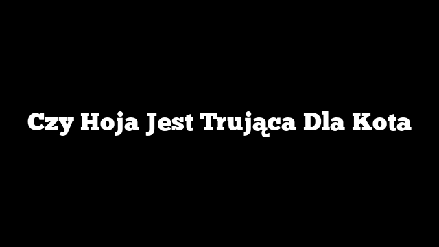 Czy Hoja Jest Trująca Dla Kota
