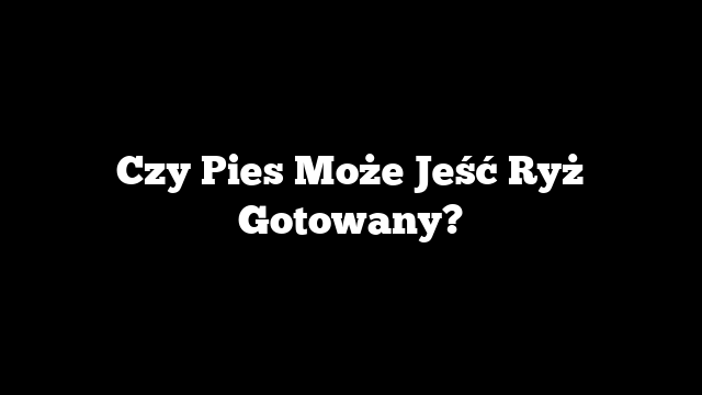 Czy Pies Może Jeść Ryż Gotowany?