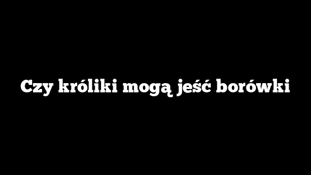 Czy króliki mogą jeść borówki