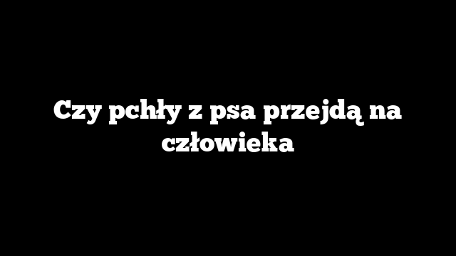 Czy pchły z psa przejdą na człowieka