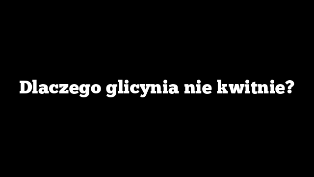 Dlaczego glicynia nie kwitnie?