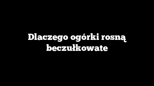 Dlaczego ogórki rosną beczułkowate