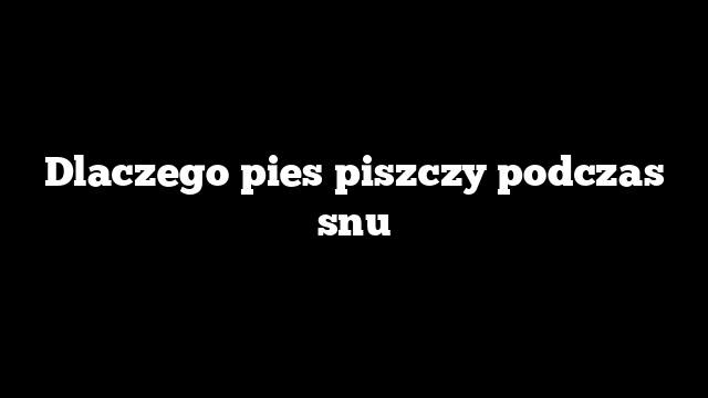 Dlaczego pies piszczy podczas snu