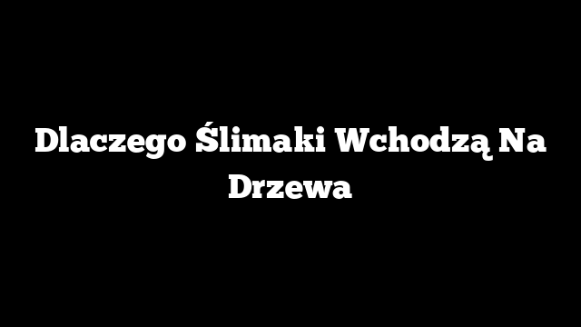 Dlaczego Ślimaki Wchodzą Na Drzewa