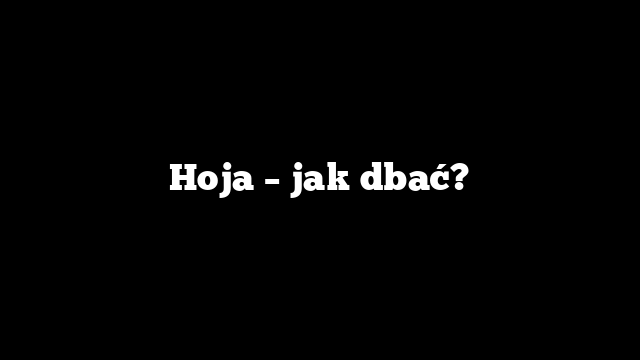 Hoja – jak dbać?
