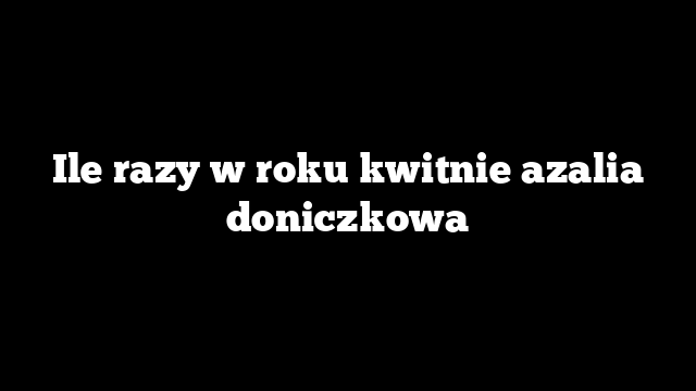 Ile razy w roku kwitnie azalia doniczkowa