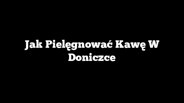 Jak Pielęgnować Kawę W Doniczce
