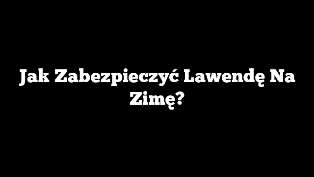 Jak Zabezpieczyć Lawendę Na Zimę?