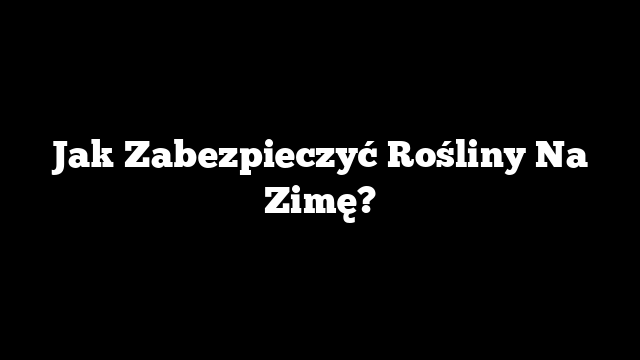 Jak Zabezpieczyć Rośliny Na Zimę?
