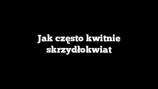 Jak często kwitnie skrzydłokwiat