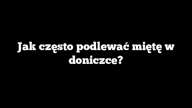 Jak często podlewać miętę w doniczce?