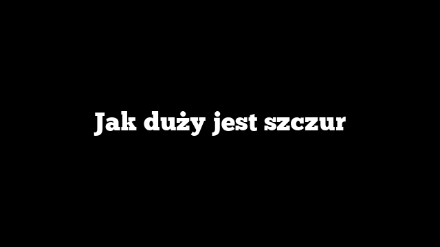 Jak duży jest szczur