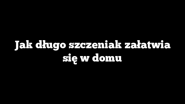 Jak długo szczeniak załatwia się w domu