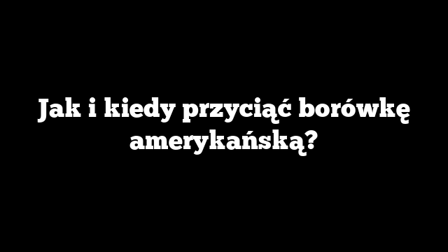 Jak i kiedy przyciąć borówkę amerykańską?