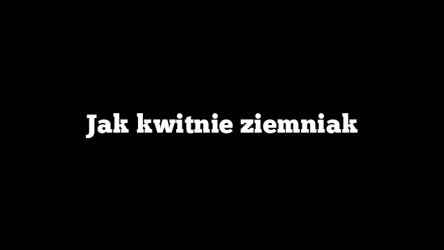 Jak kwitnie ziemniak