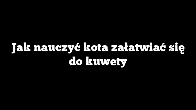 Jak nauczyć kota załatwiać się do kuwety