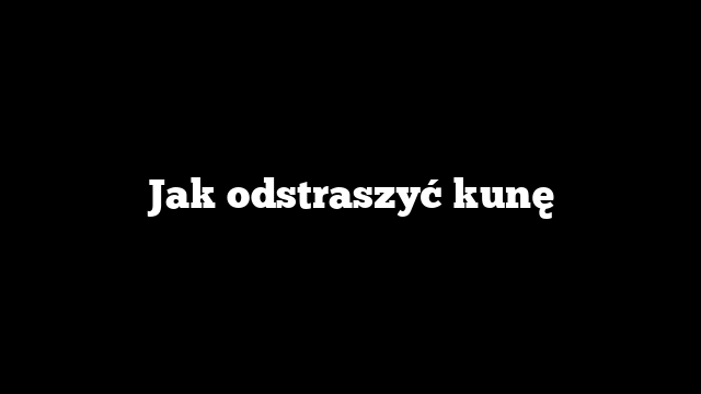 Jak odstraszyć kunę