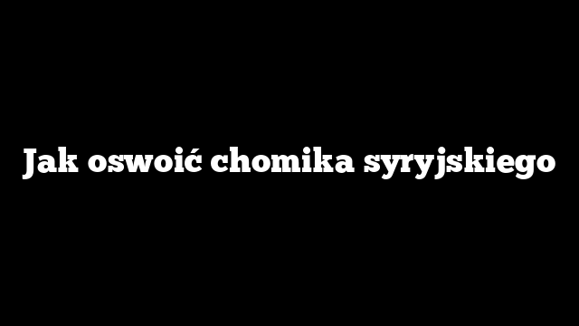 Jak oswoić chomika syryjskiego
