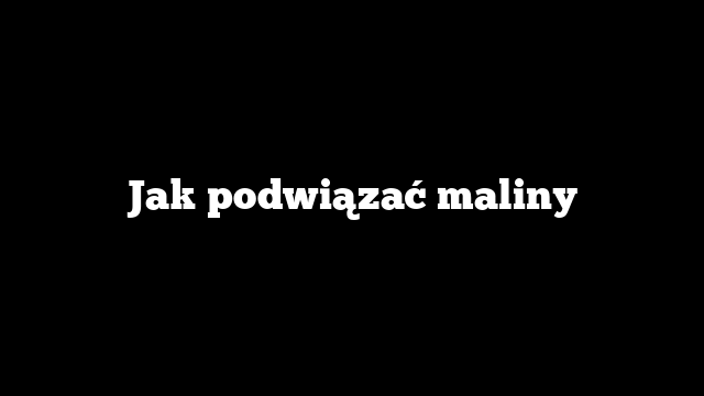 Jak podwiązać maliny