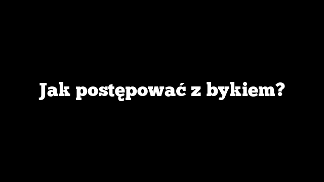 Jak postępować z bykiem?