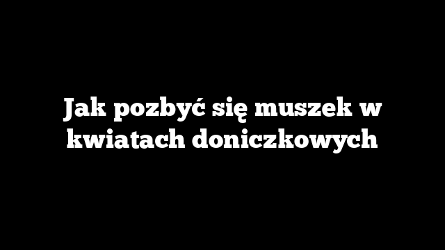 Jak pozbyć się muszek w kwiatach doniczkowych