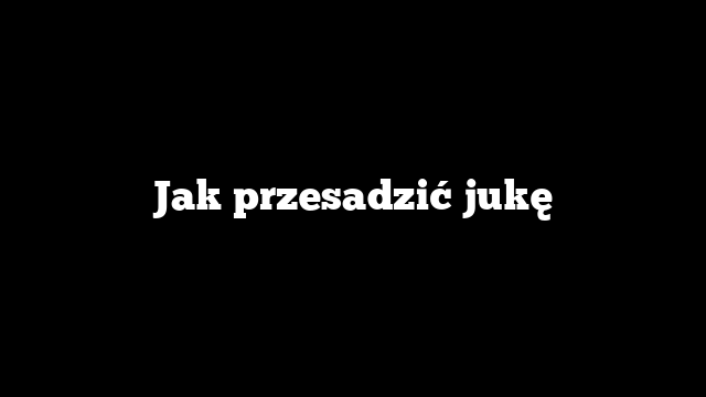 Jak przesadzić jukę