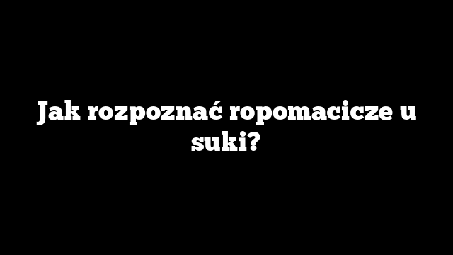 Jak rozpoznać ropomacicze u suki?
