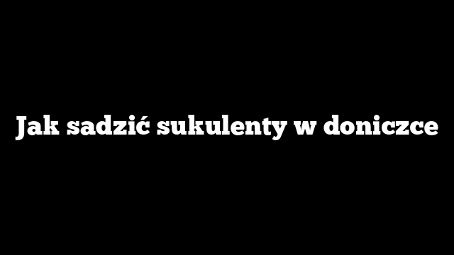 Jak sadzić sukulenty w doniczce