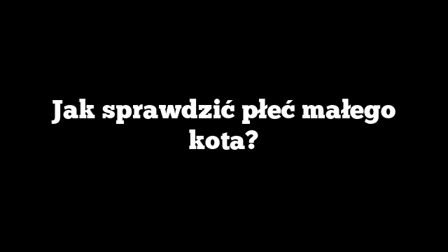 Jak sprawdzić płeć małego kota?