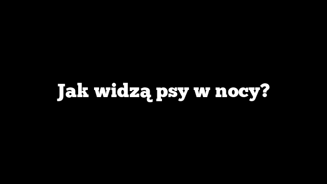 Jak widzą psy w nocy?