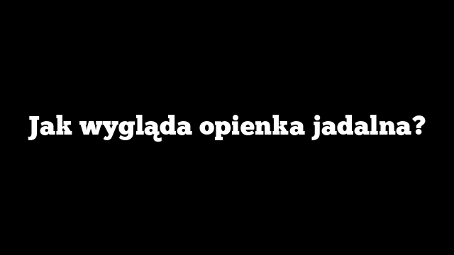 Jak wygląda opienka jadalna?