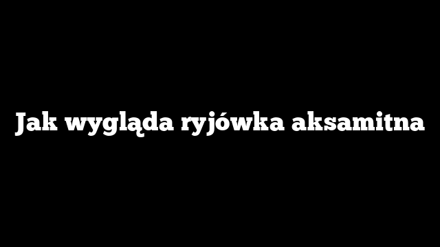Jak wygląda ryjówka aksamitna