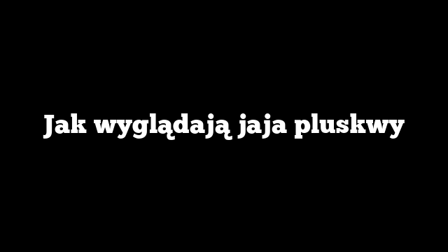 Jak wyglądają jaja pluskwy