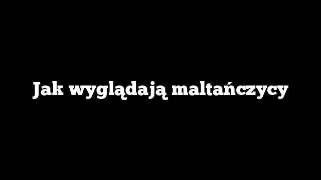 Jak wyglądają maltańczycy