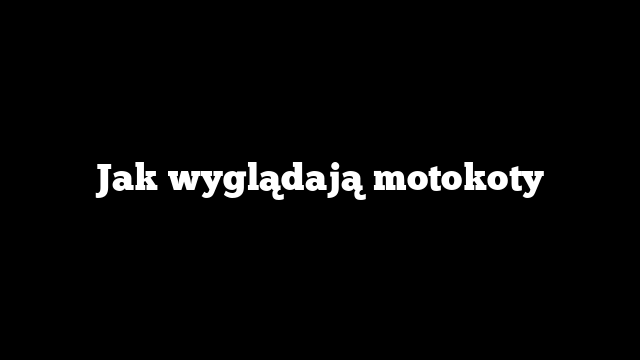 Jak wyglądają motokoty