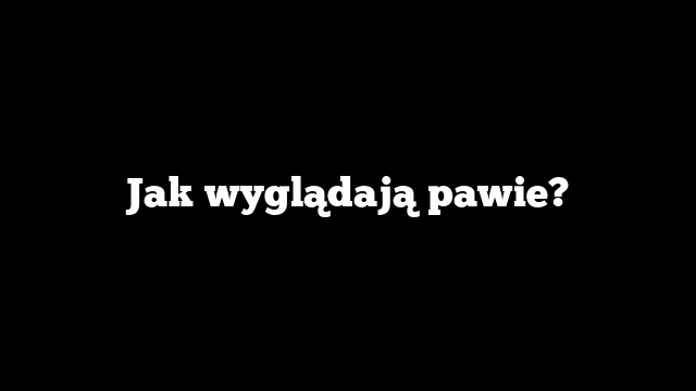 Jak wyglądają pawie?