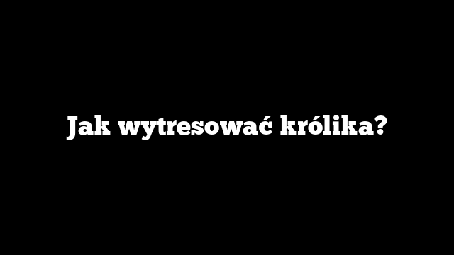 Jak wytresować królika?