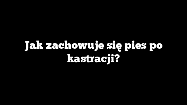 Jak zachowuje się pies po kastracji?