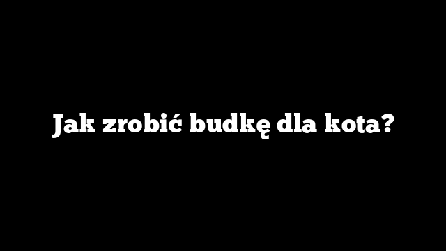 Jak zrobić budkę dla kota?