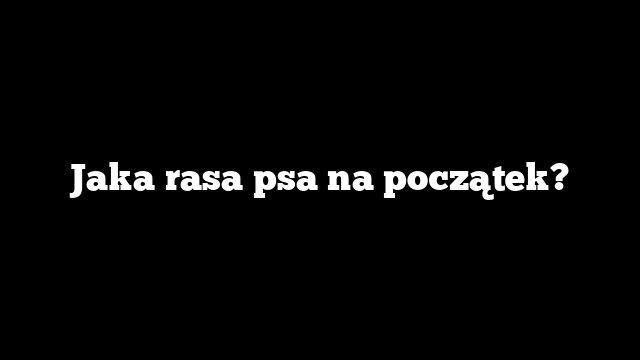 Jaka rasa psa na początek?