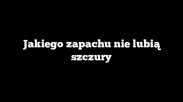 Jakiego zapachu nie lubią szczury