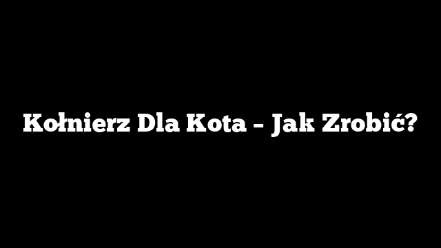 Kołnierz Dla Kota – Jak Zrobić?