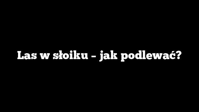 Las w słoiku – jak podlewać?