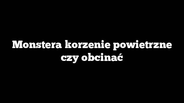 Monstera korzenie powietrzne czy obcinać