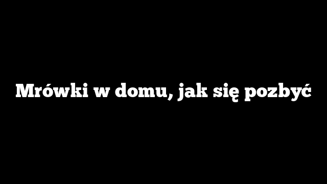 Mrówki w domu, jak się pozbyć